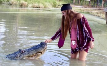 Today's news headlines, A Girl Trying to take selfie with an aligator from Texas